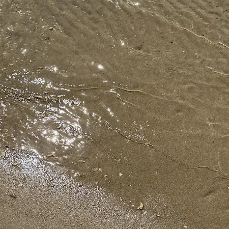 Prestige & Wellness House בית נופש *