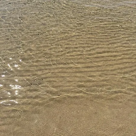 Prestige & Wellness House