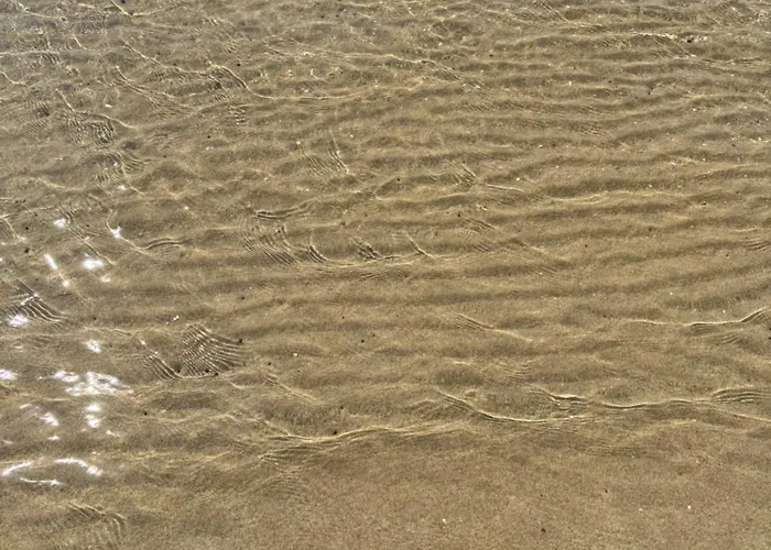 Prestige & Wellness House